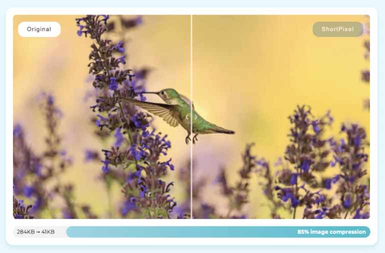 Example of a compressed image with ShortPixel